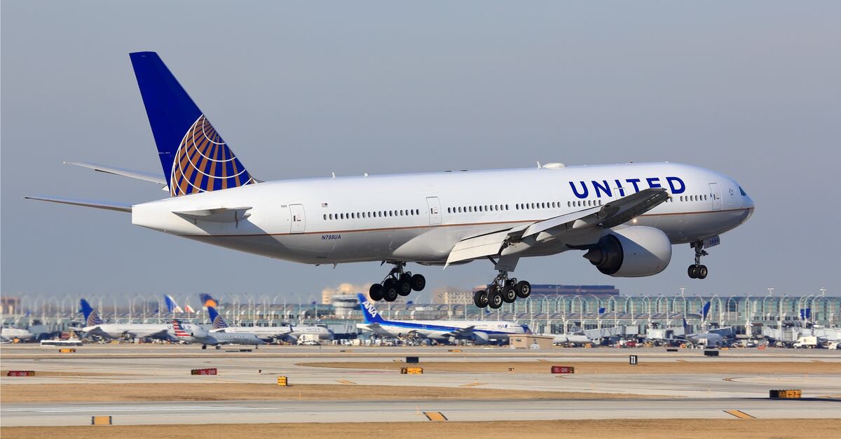 United has suspended pet cargo flights after experiencing multiple dog-related incidents