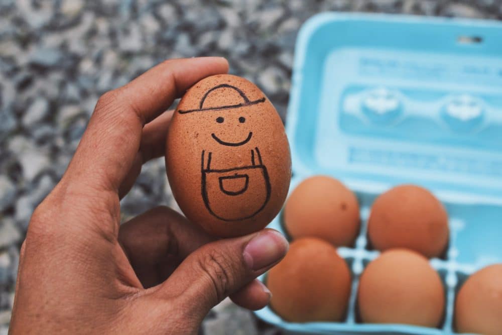 study new questions rise about health risks as eggs make a comeback2