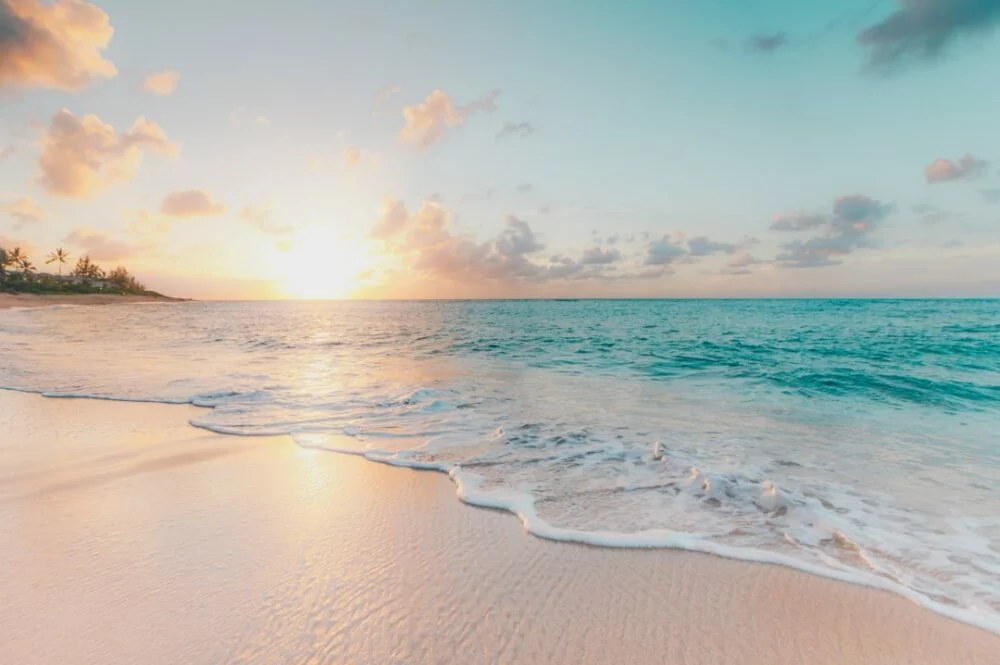 Remote Work Travel