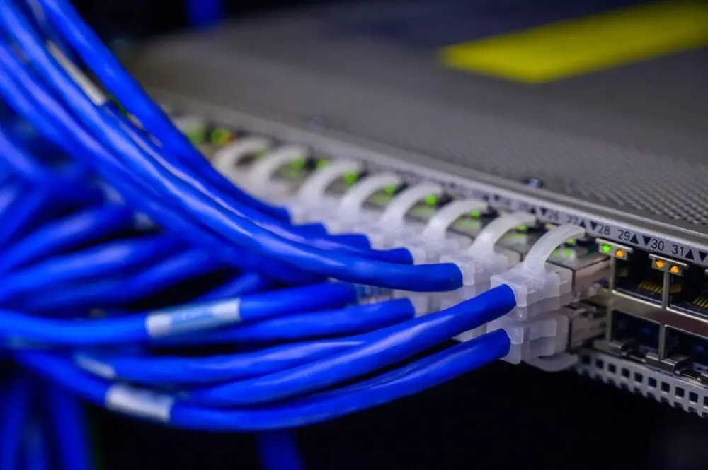 Blue ethernet cables plugged into a network switch like the VPN gear targeted in the Ivanti attack