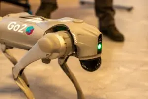 A Go2 branded robot dog indoors, the kind of robot affected by the Unitree Go2 vulnerability