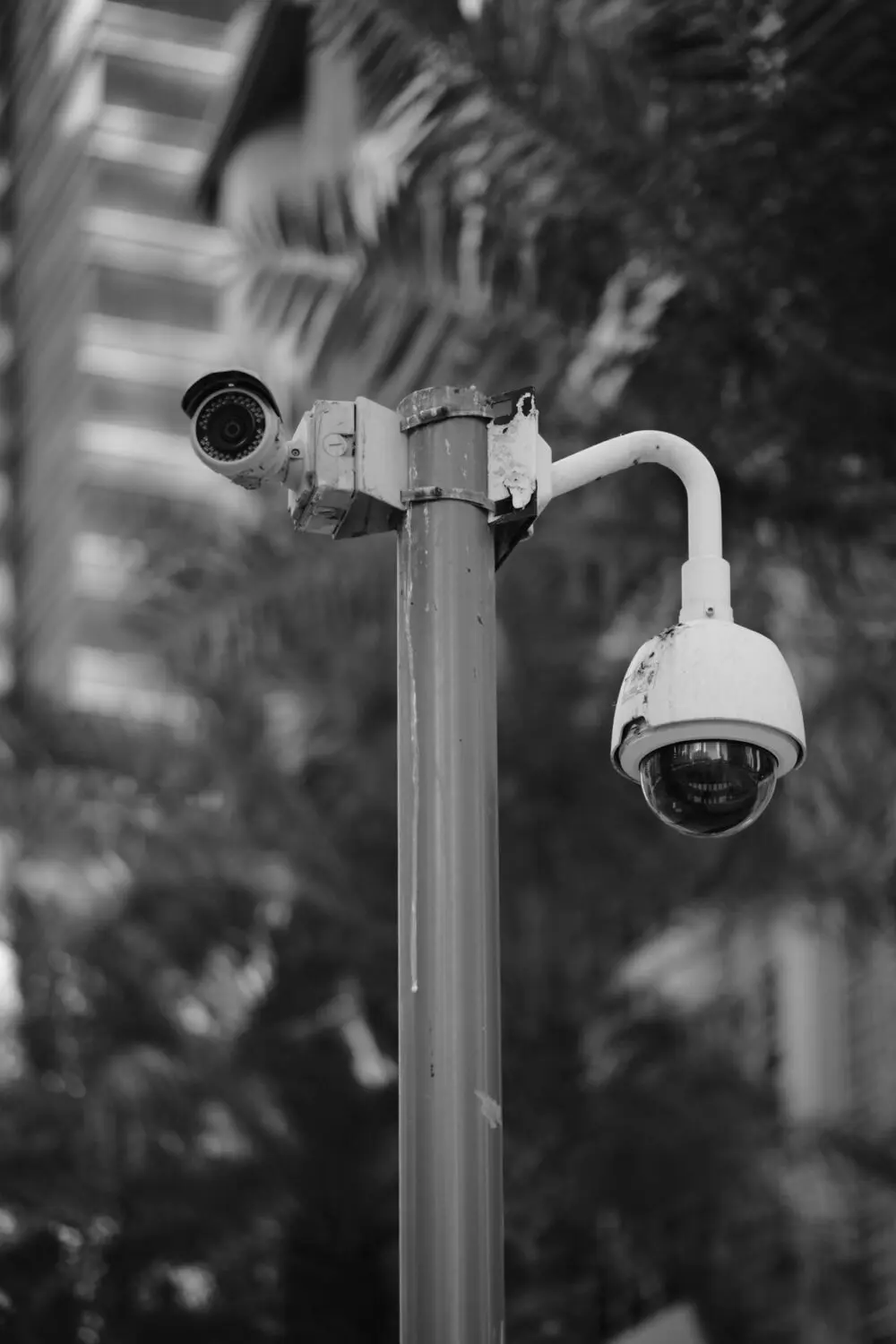 A dome camera on a street pole, the kind of equipment at the center of the Flock Safety debate