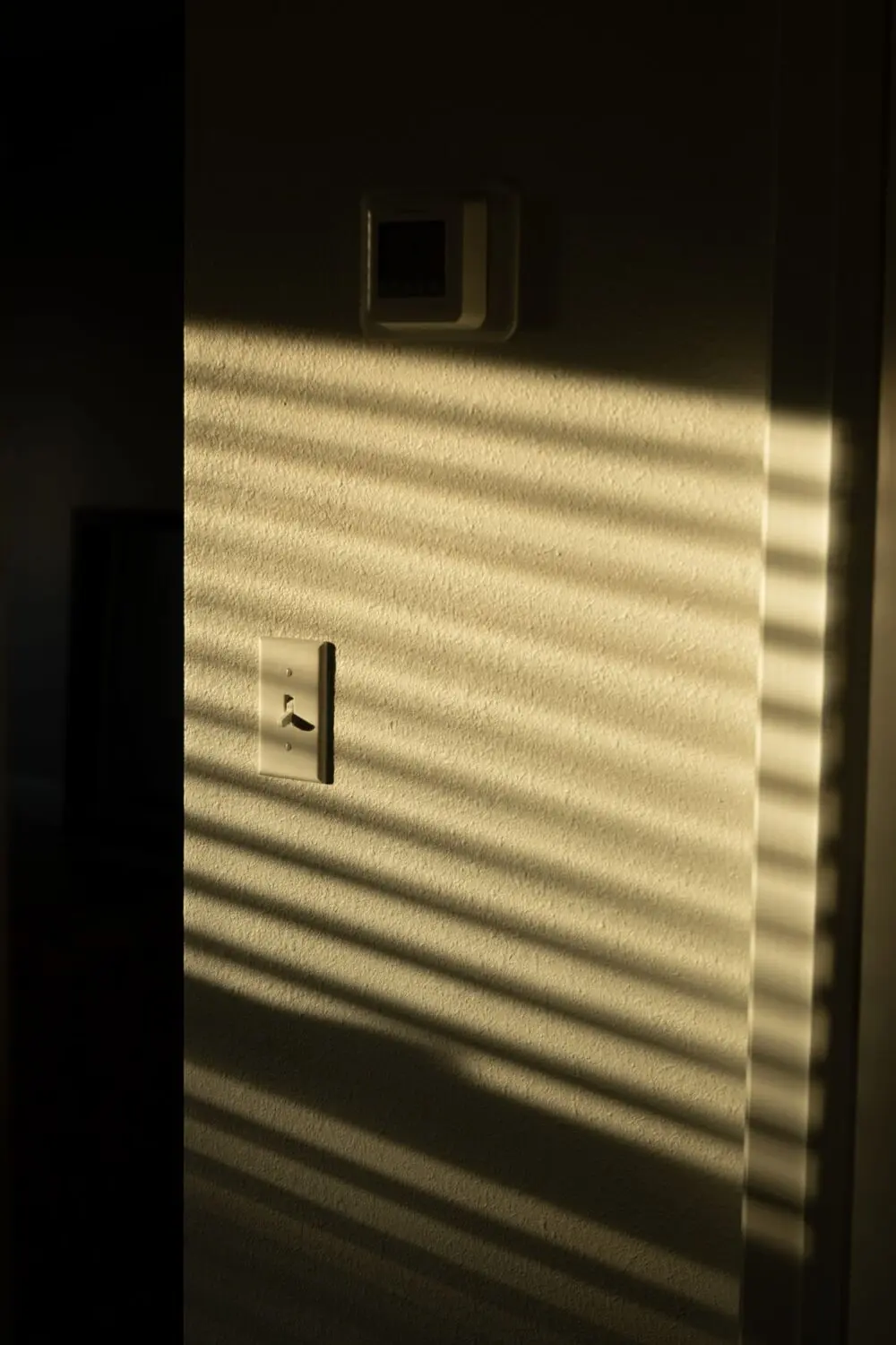 Winter sunlight through window blinds, which can help cut winter heating costs