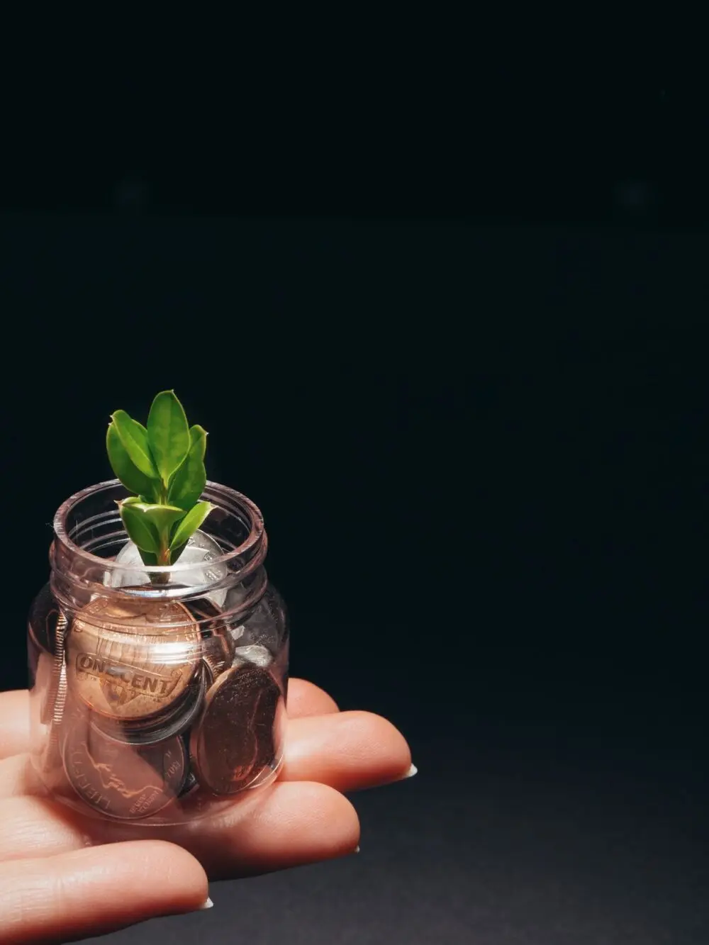 Hand holding a jar of coins with a small plant growing out of it